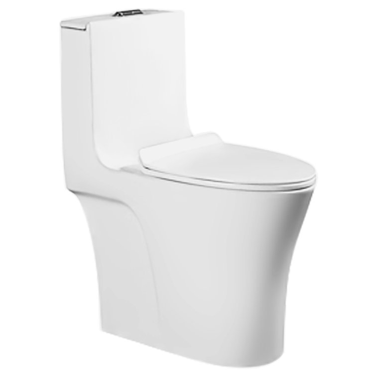 Sani Canada DualFlush Elongated OnePiece Toilet (Seat Included